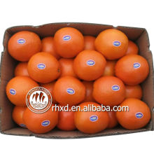 nom de tous les fruits jaunes navel orange mandarine citron agrume